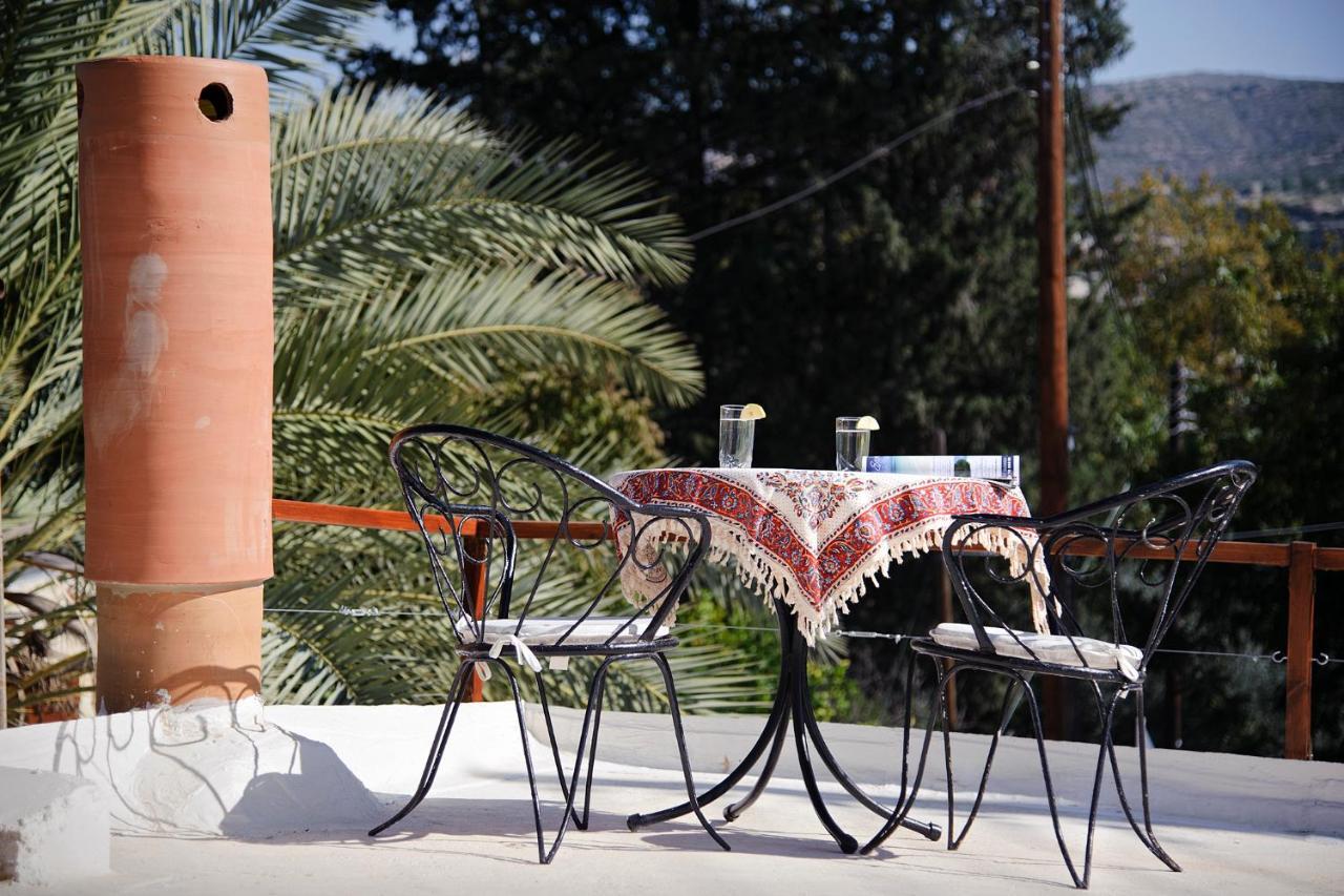 Palm Tree Oriental House And Homestay Polis Exteriör bild