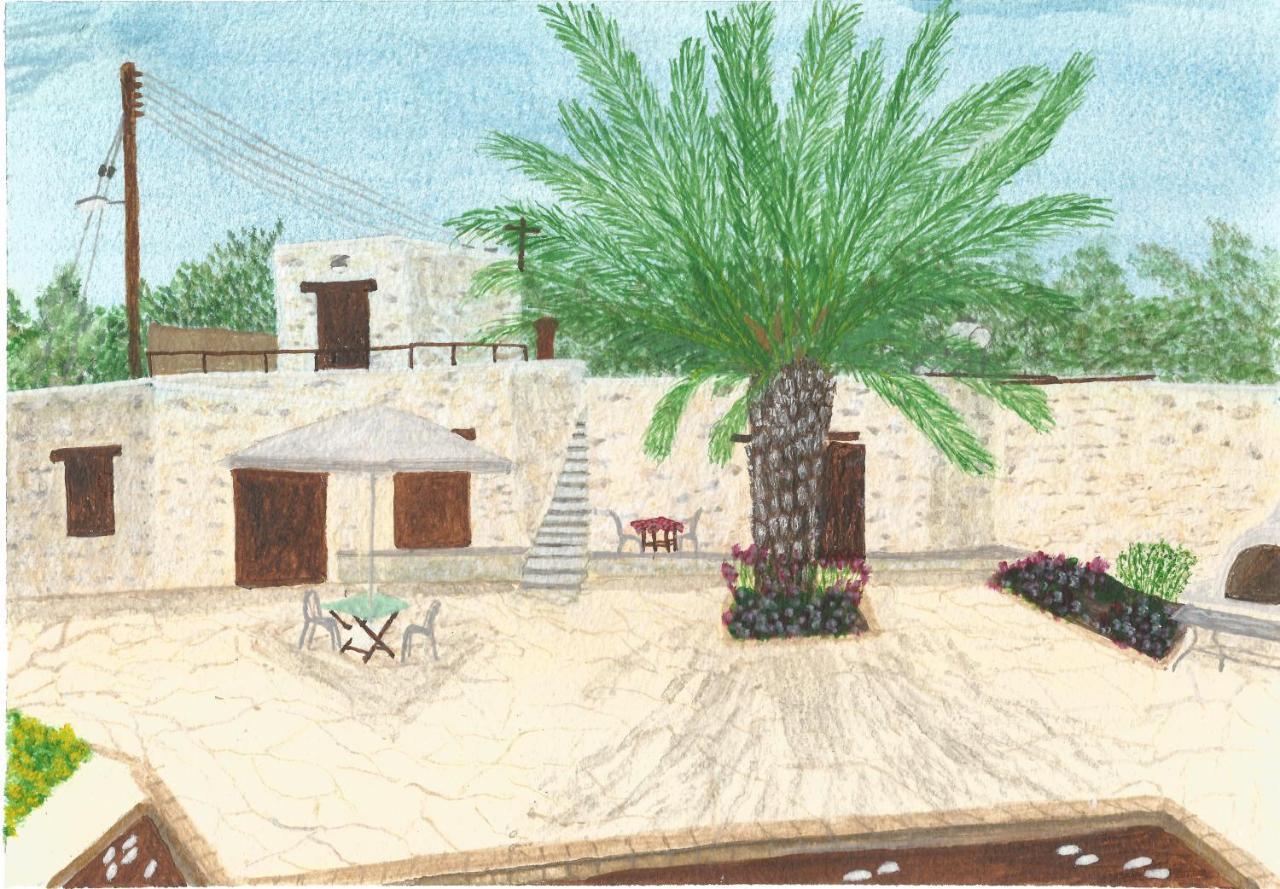 Palm Tree Oriental House And Homestay Polis Exteriör bild